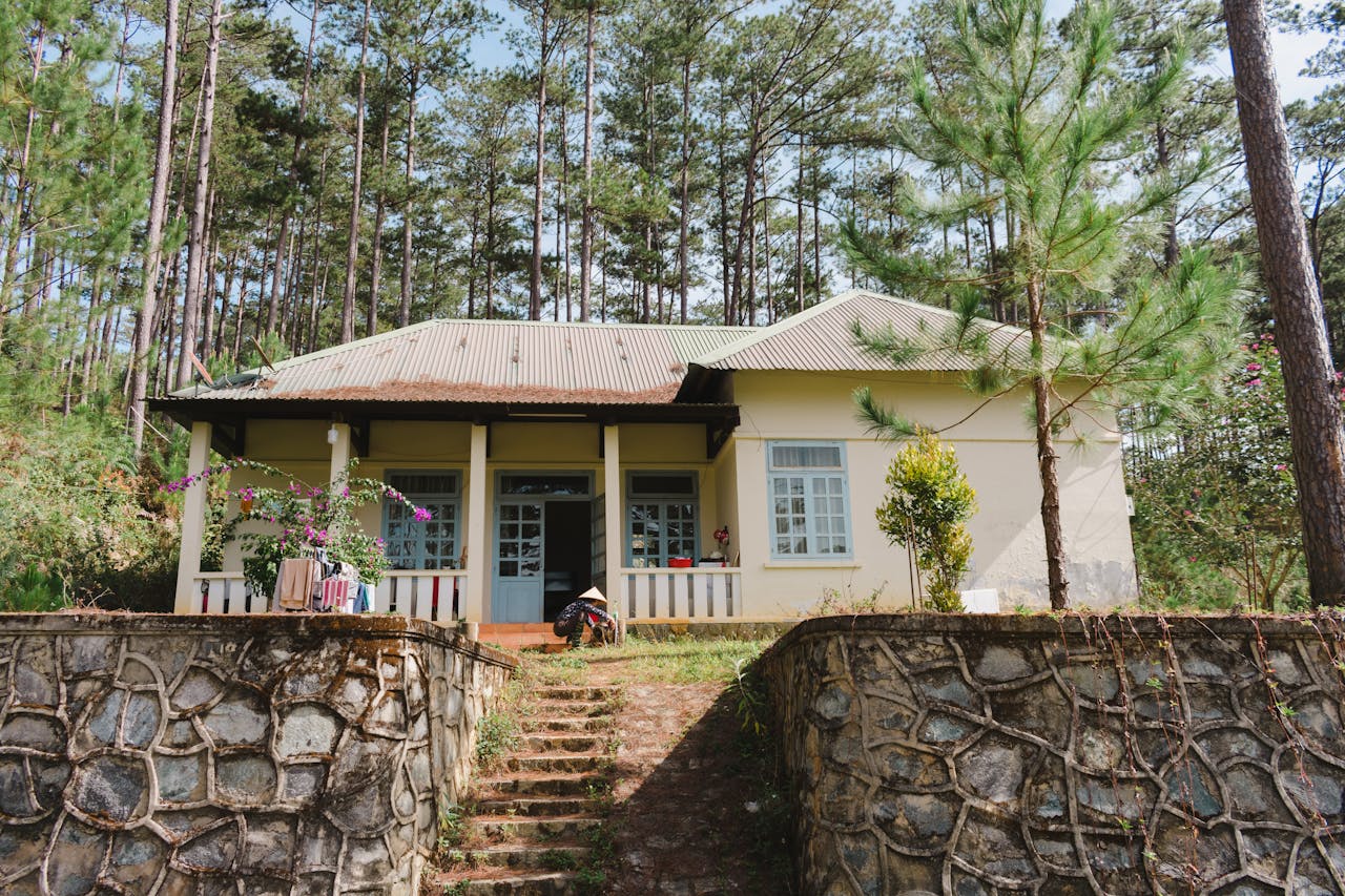 Cozy bungalow surrounded by tall pine trees, hinting at tranquil living.