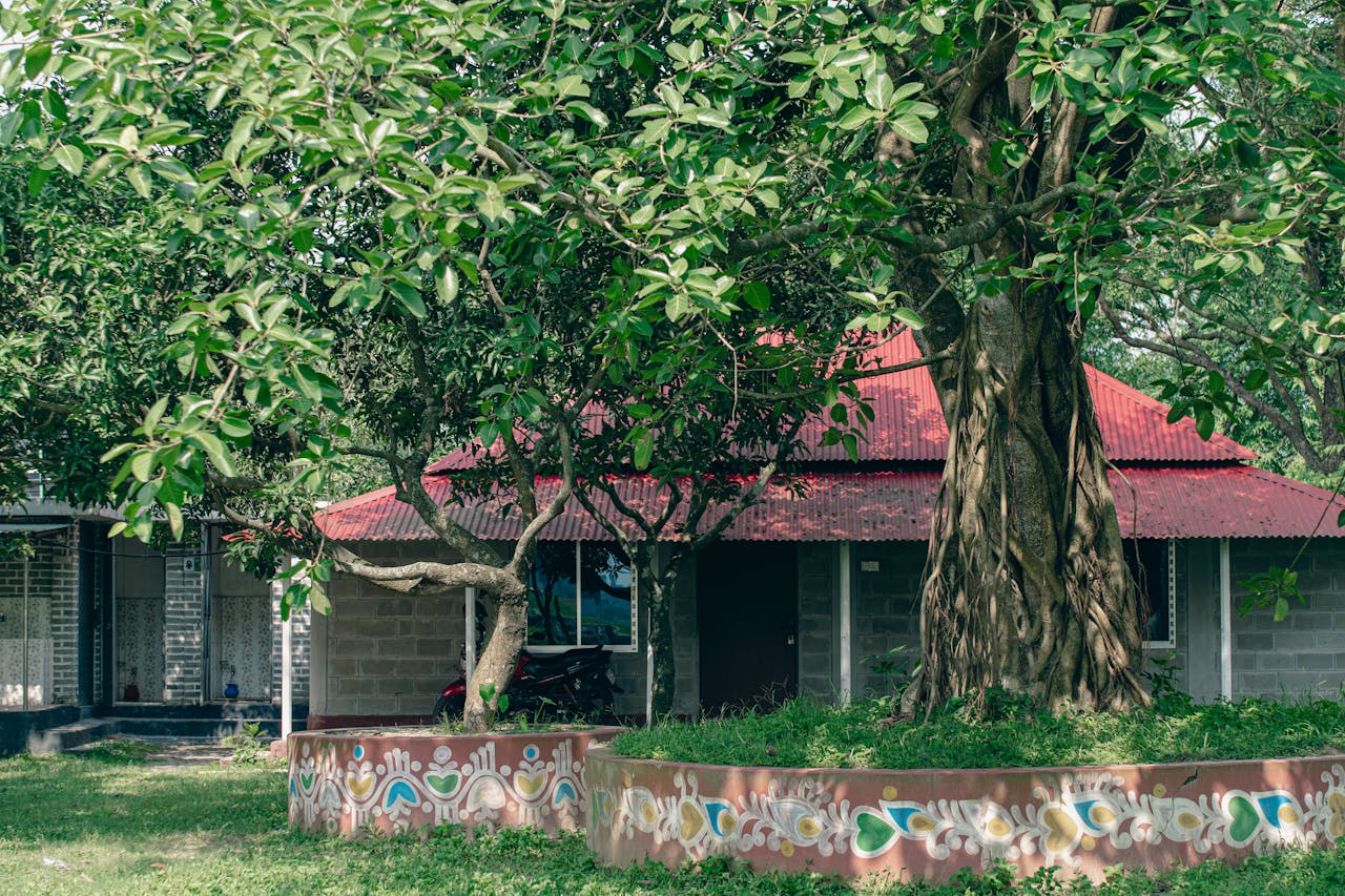 A scenic view of a traditional Bangladeshi house with a red roof, adorned by a large banyan tree in the garden.