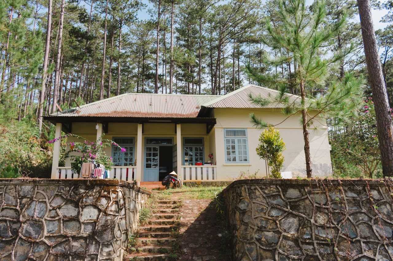 Cozy bungalow surrounded by tall pine trees, hinting at tranquil living.