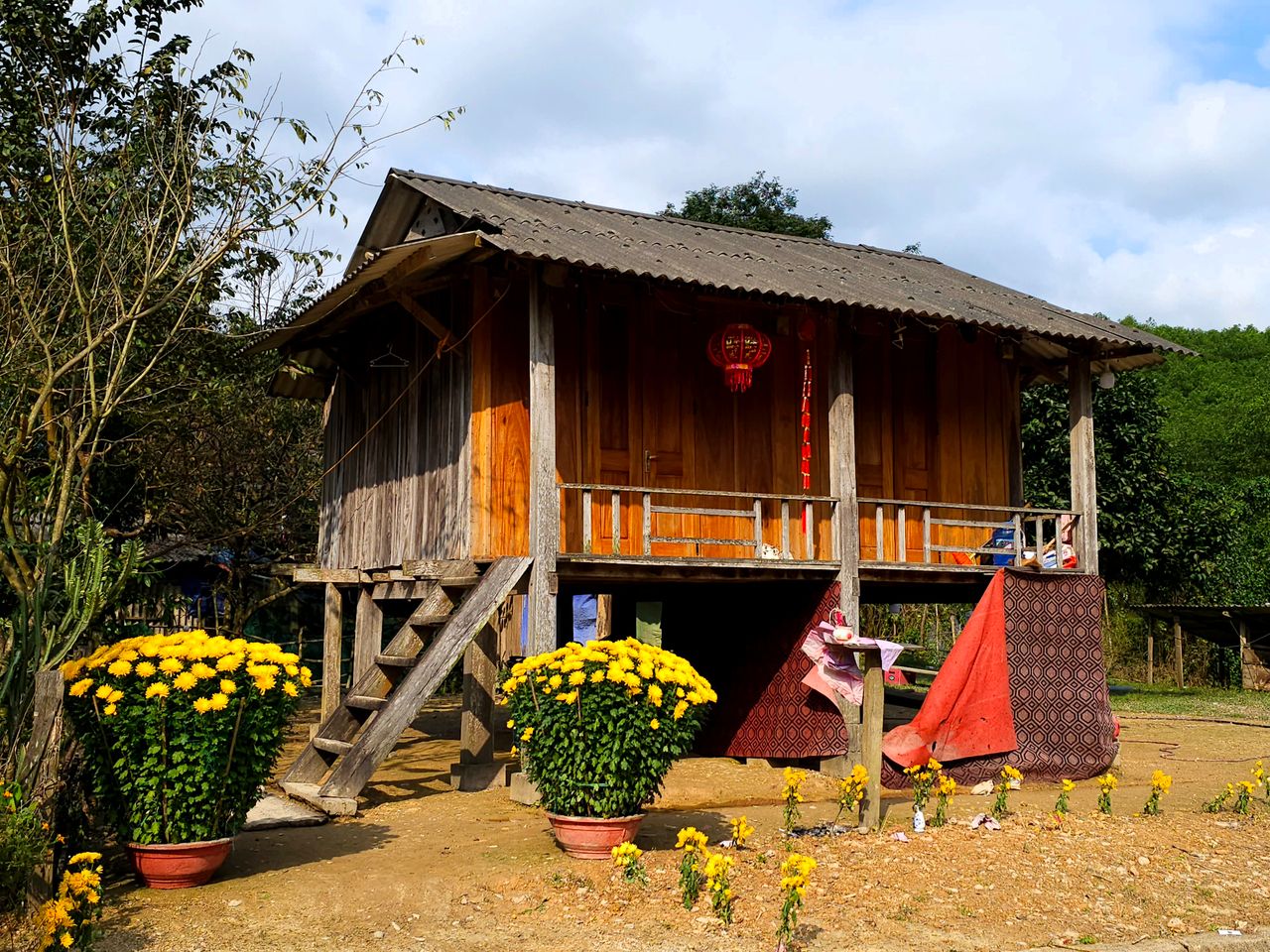 A beautiful traditional wooden house surrounded by lush greenery and flowers in Quảng Bình, Vietnam.